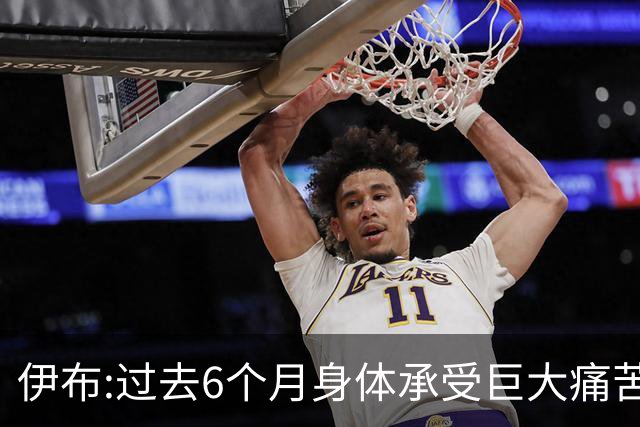 伊布:过去6个月身体承受巨大痛苦 只为帮球队夺冠